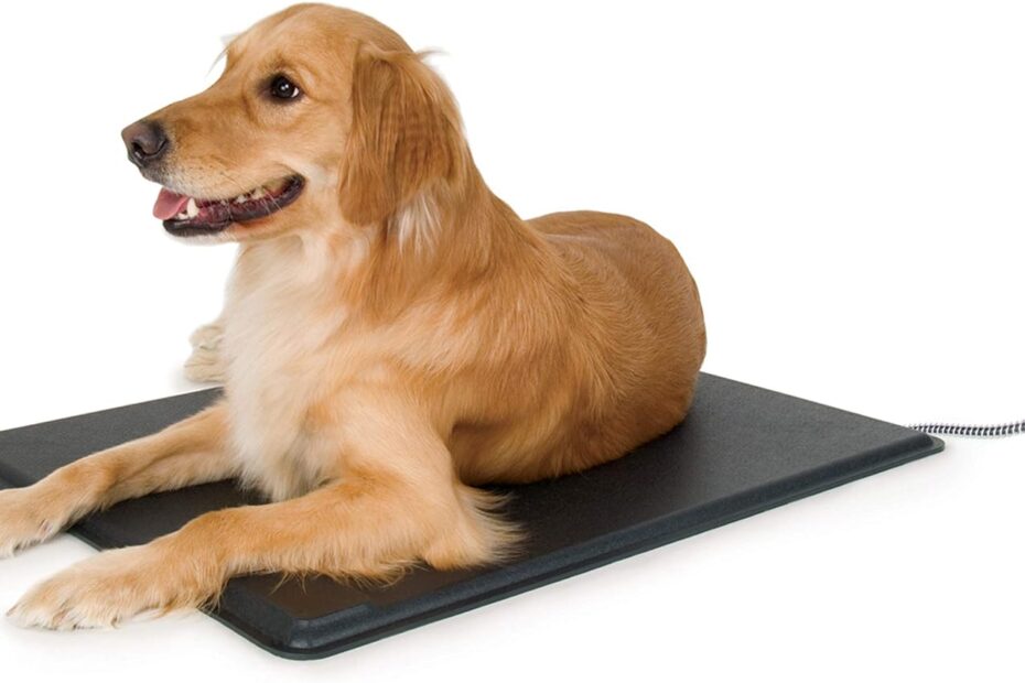 Keep Your Pets Toasty: K&H Lectro-Kennel Heated Outdoor Dog Pad Review