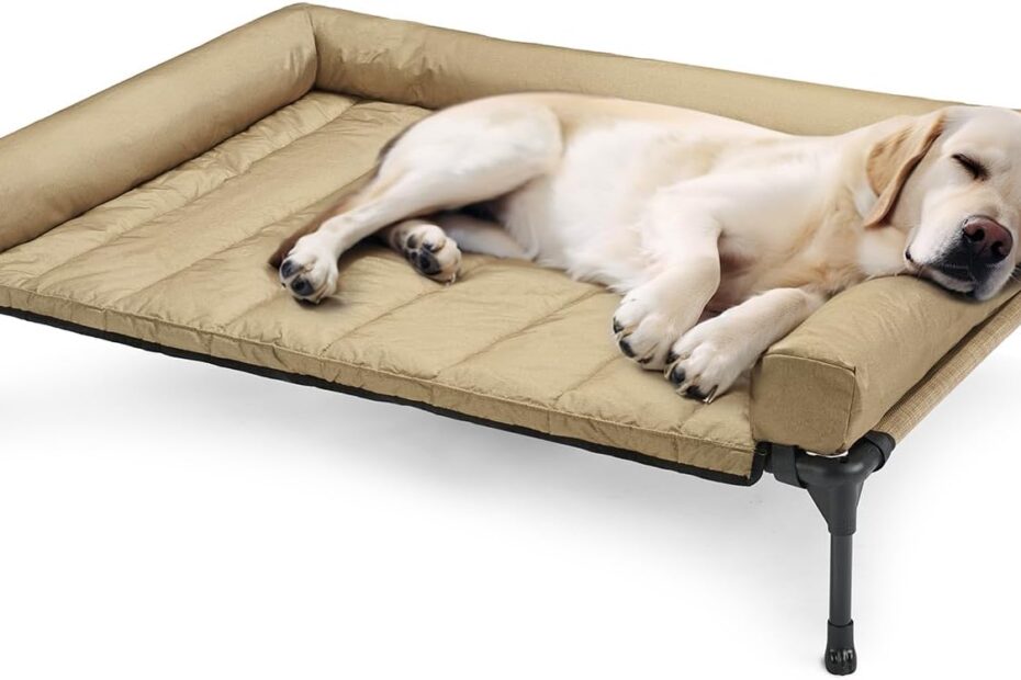 Keep Your Pup Cool: The Veehoo Elevated Dog Bed Review!