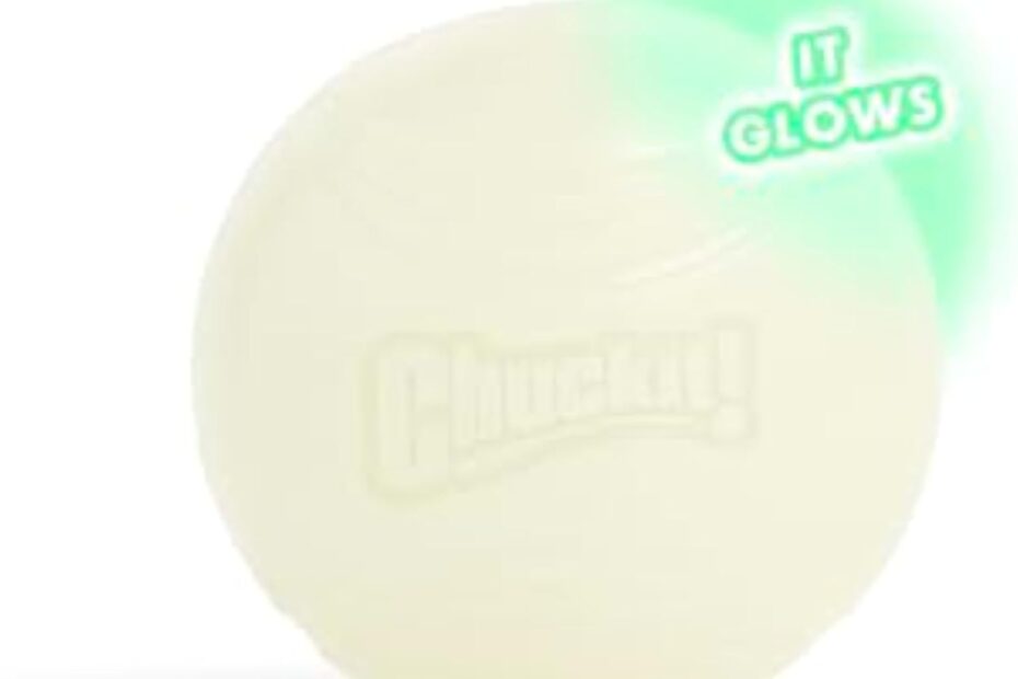 Light Up Playtime: Review of Chuckit! Glow in the Dark Bouncy Ball for Dogs