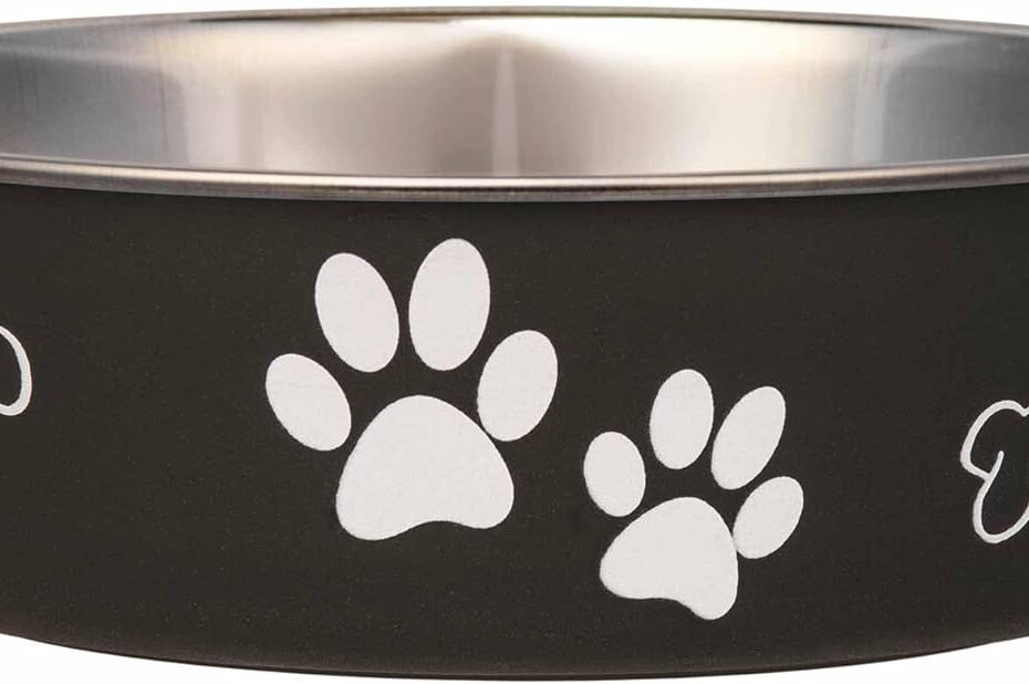Loving Pets Bella Bowls: The Spill-Proof Solution for Happy Pets!