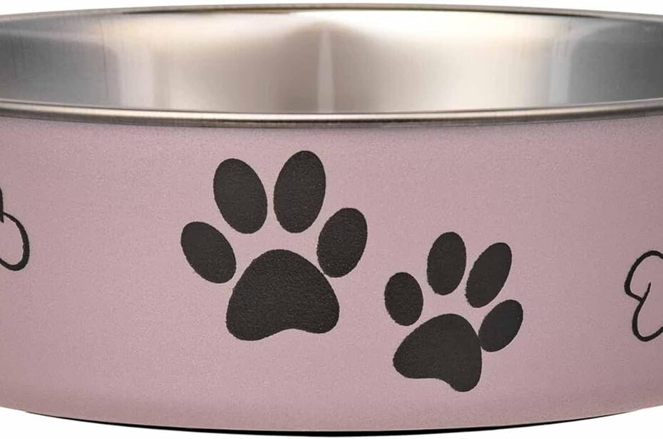 Loving Pets Bella Bowls: The Ultimate Spill-Proof Solution for Dogs and Cats!