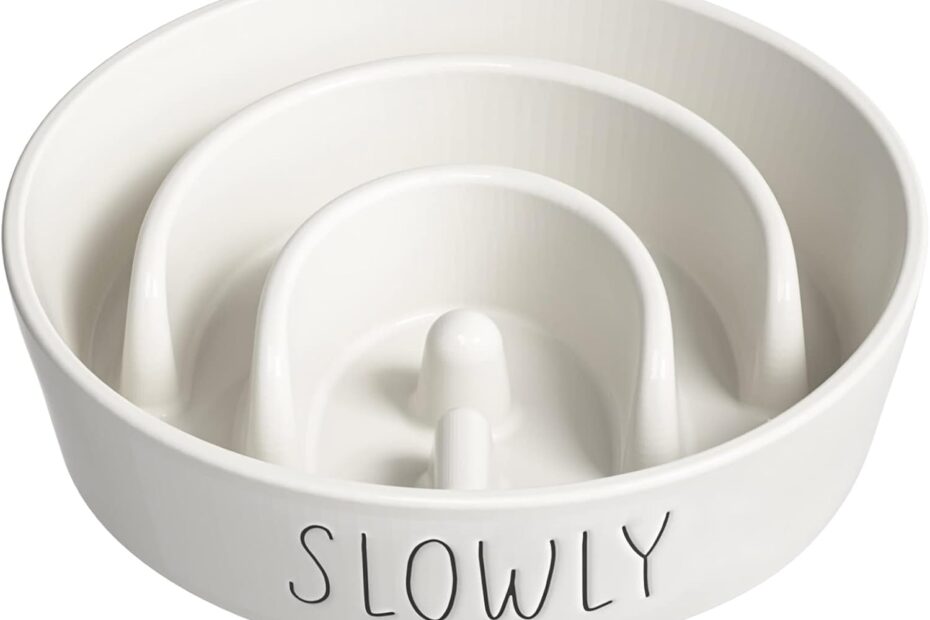 Master Mealtime: Review of the Slow Feeder Dog Bowl for Happy, Healthy Puppies!