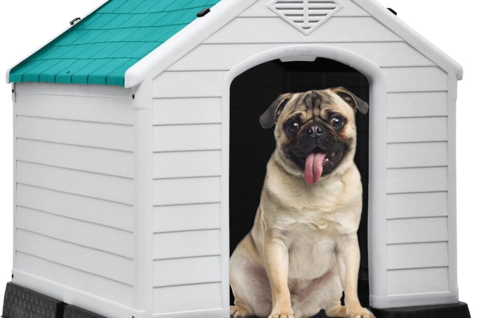 Maximize Comfort: Review of the DWVO Insulated Outdoor Dog House