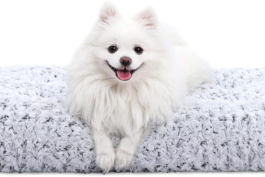 Maximize Comfort: Review of the KSIIA Deluxe Plush Dog Bed