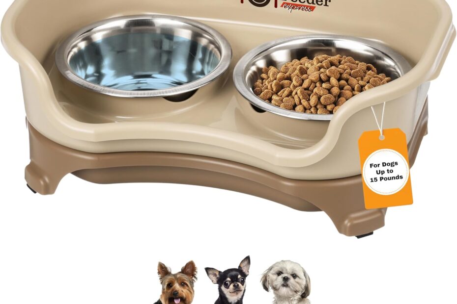 Mess-Free Mealtime: Review of the Neater Feeder Express for Small Breeds