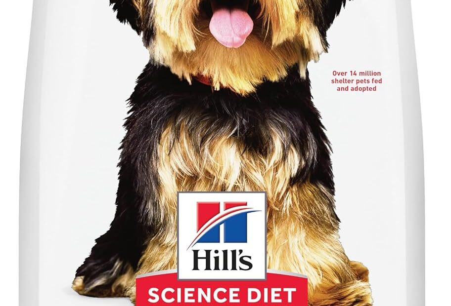 Nourish Their Best: A Review of Hill's Science Diet Small & Mini Dog Food