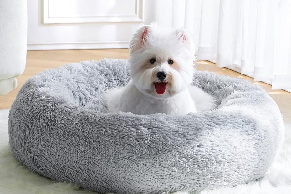 Pamper Your Pup: Review of the Cozy Calming Donut Dog Bed