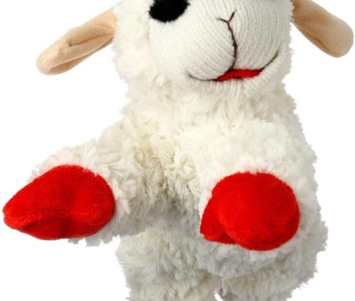 Playtime Perfected: Multi Pet Lamb Chop Dog Toy Review for All Breeds!