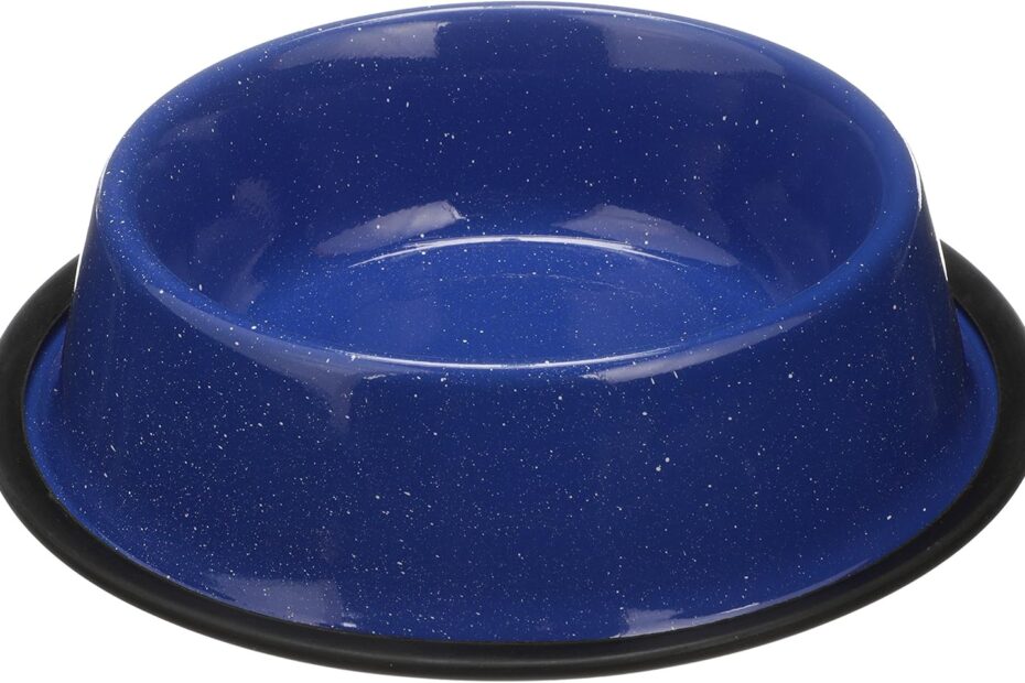 Reviewing Neater Pet Brands: The Ultimate Outdoor Pet Bowl for Adventures!