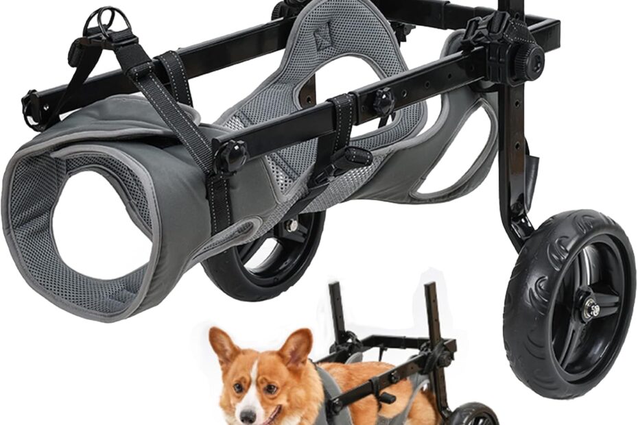 Revitalize Your Pet's Mobility: The Ultimate Dog Wheelchair for Back Legs Reviews