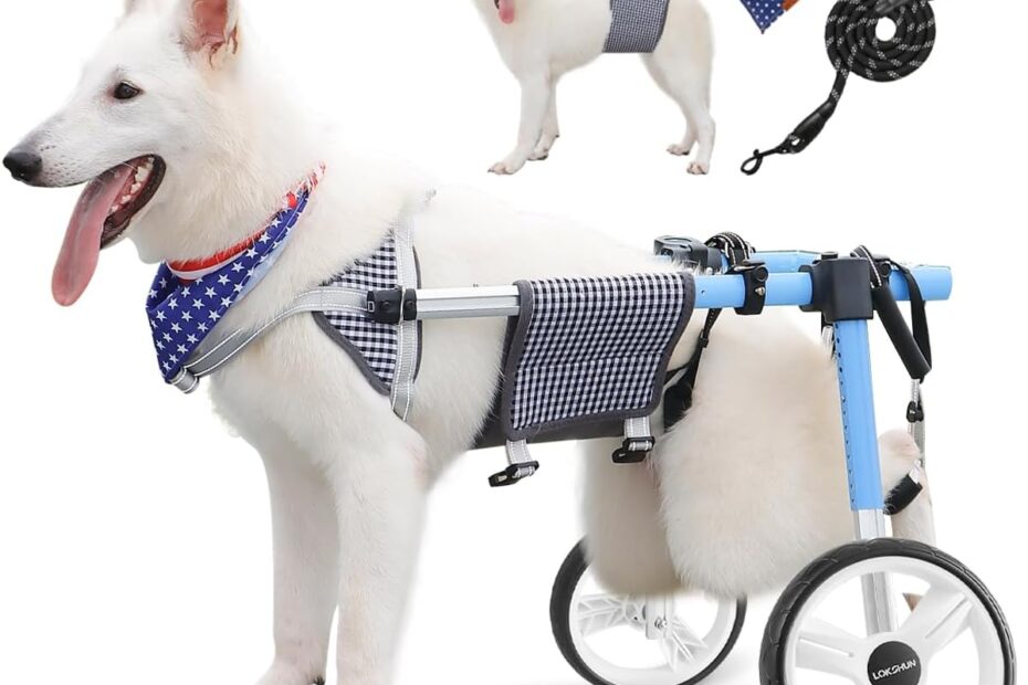 Revitalize Your Pup's Mobility: The Best Large Dog Wheelchair for Back Legs!