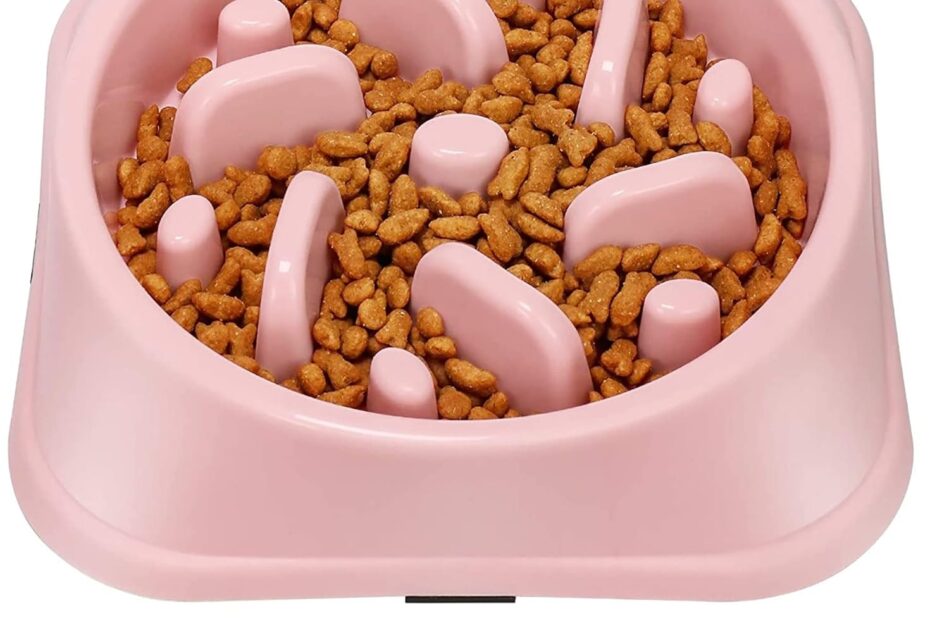 Revolutionize Mealtime: The UPSKY Slow Feeder Bowl for Small Dogs
