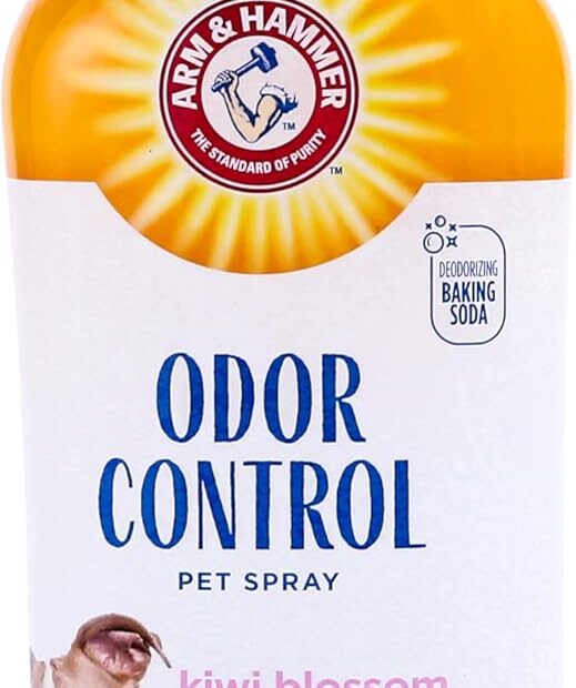 Say Goodbye to Dog Odors: Arm & Hammer Super Deodorizing Spray Review