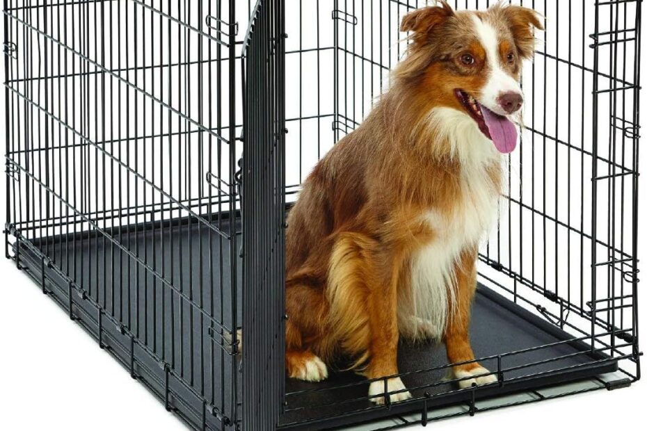 Secure & Spacious: The Ultimate Review of MidWest Homes for Pets 42-Inch Folding Dog Crate