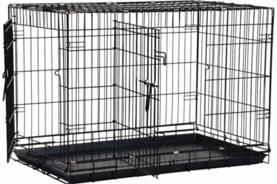 Secure & Spacious: The Ultimate Review of the Precision Pet Two Door Great Crate for Your Canine Companion