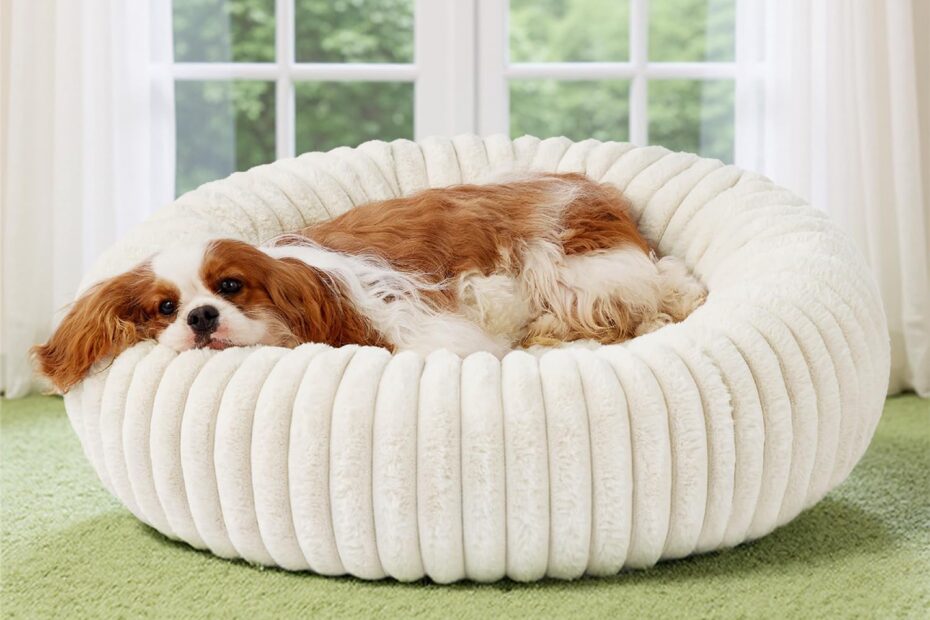 Snuggle Up in Style: Review of the Bedsure Donut Medium Dog Bed!