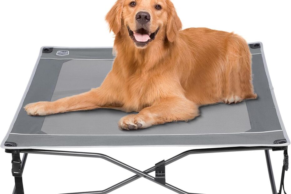 Stay Cool and Comfortable: A Review of the TIMBER RIDGE Elevated Dog Bed