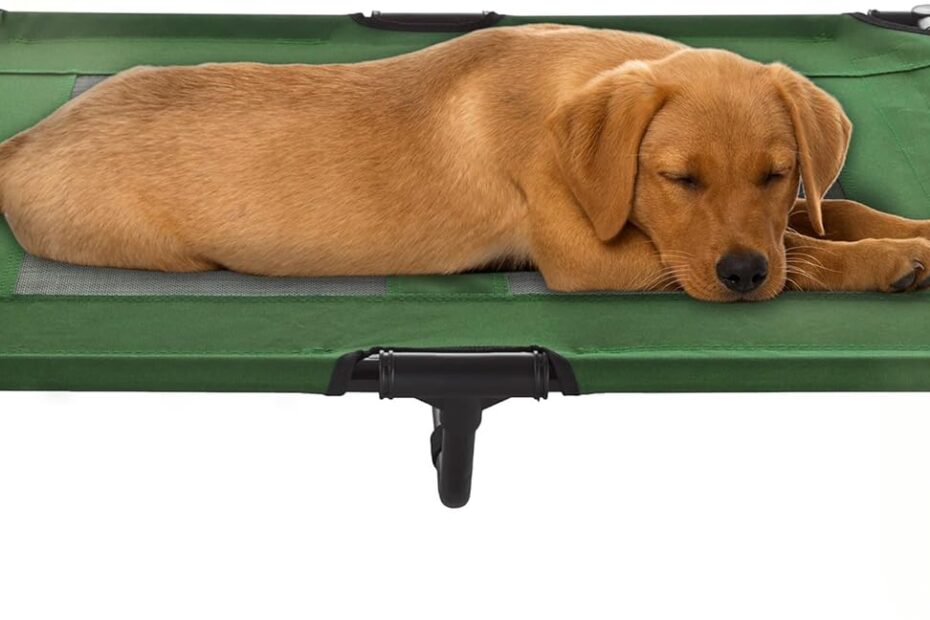 Stay Cool and Comfy: Review of the Elevated Dog Bed by Petmaker