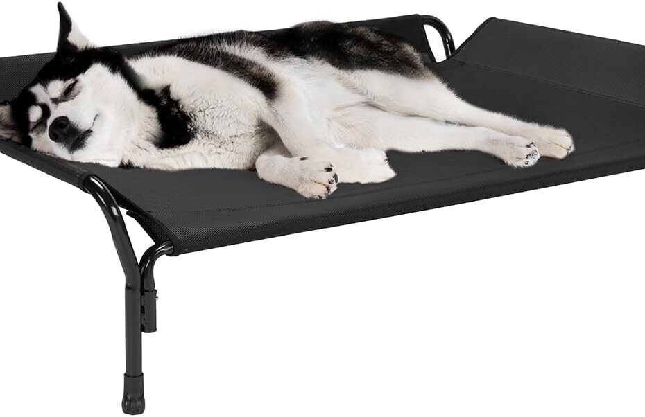 Stay Cool and Cozy: A Review of Veehoo's Elevated Dog Bed