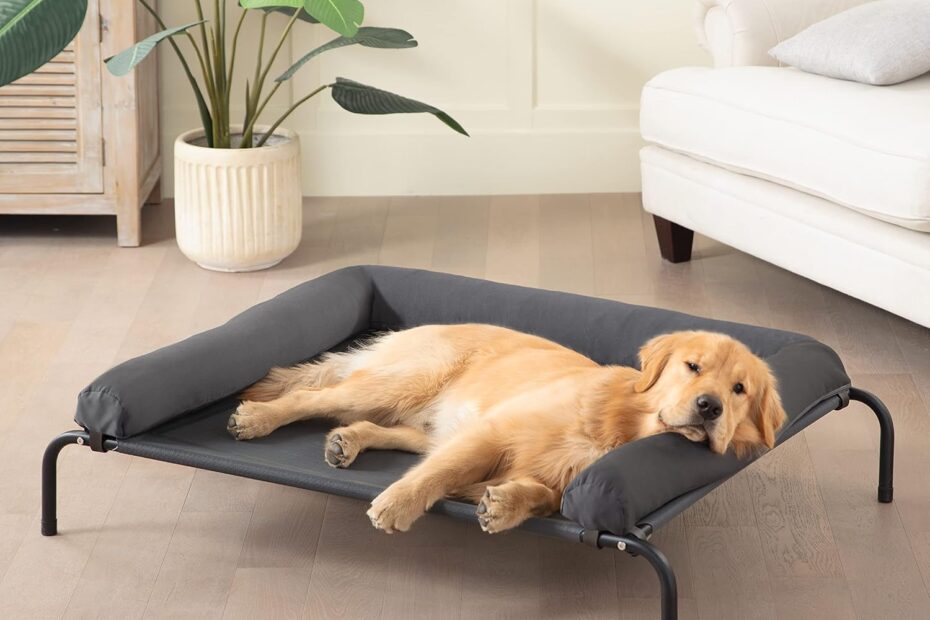 Stay Cool: Reviews of the WESTERN HOME Elevated Dog Bed for Large Dogs