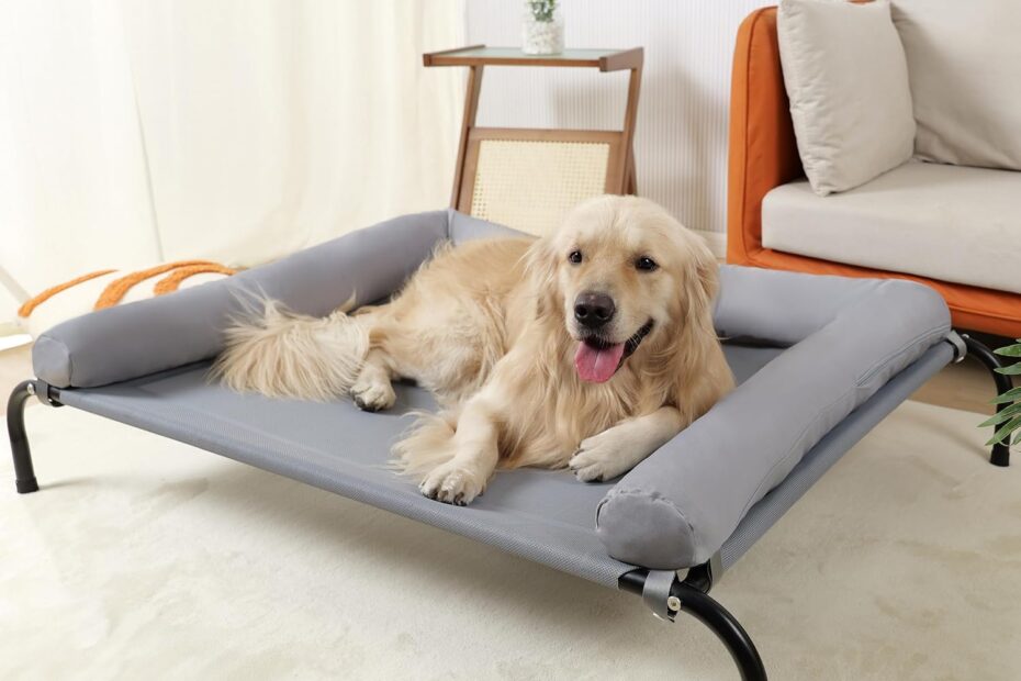 Stay Cool: The Ultimate Review of the Elevated Dog Bed for Happy Pups!