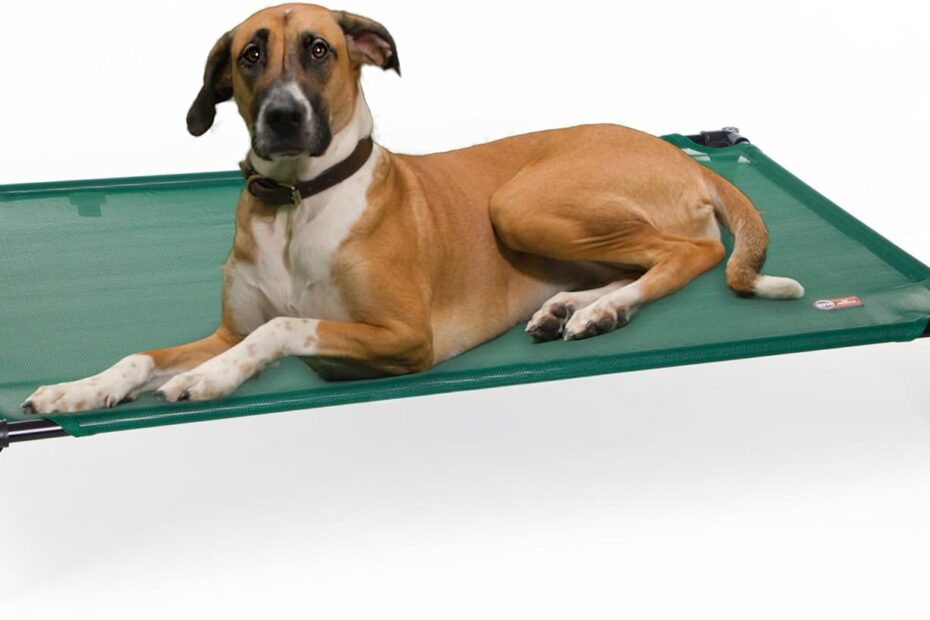 Stay Cool This Summer: K&H Elevated Dog Bed Review for Large Dogs