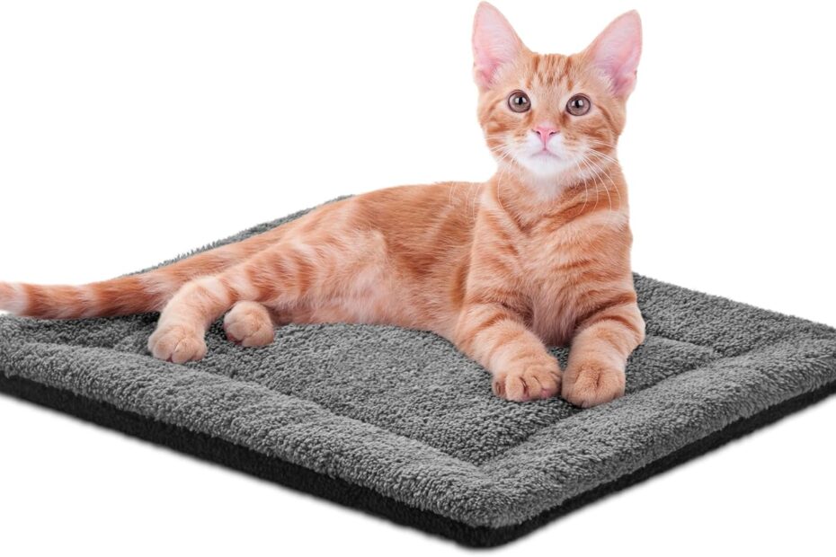 Stay Cozy: K&H Self-Warming Cat Bed Pad Review