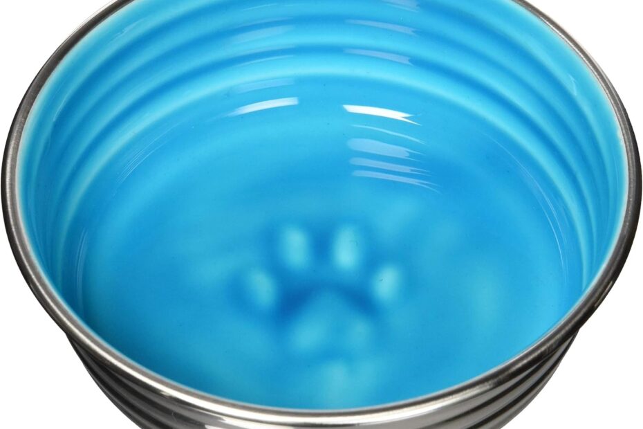 Stay Mess-Free with Loving Pets’ Enamel Ceramic Dog Bowl!