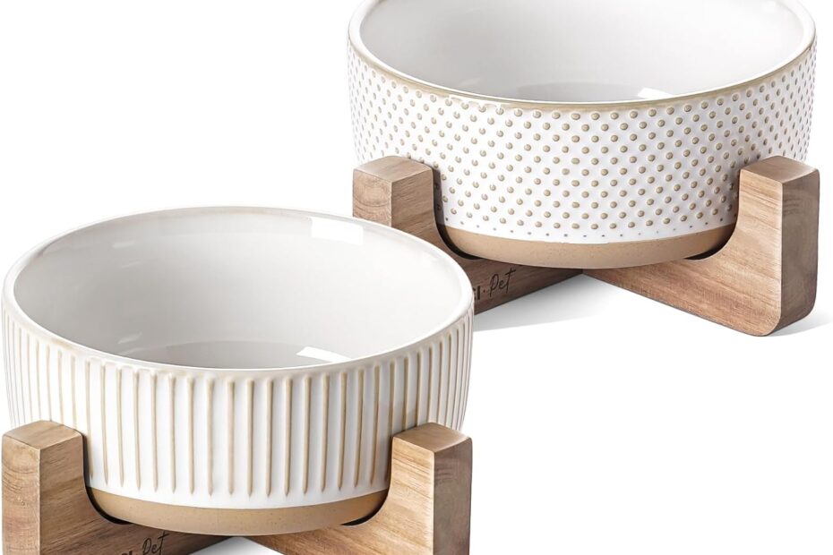 Stylish and Functional: Review of Ceramic Dog Bowls with Wooden Stand