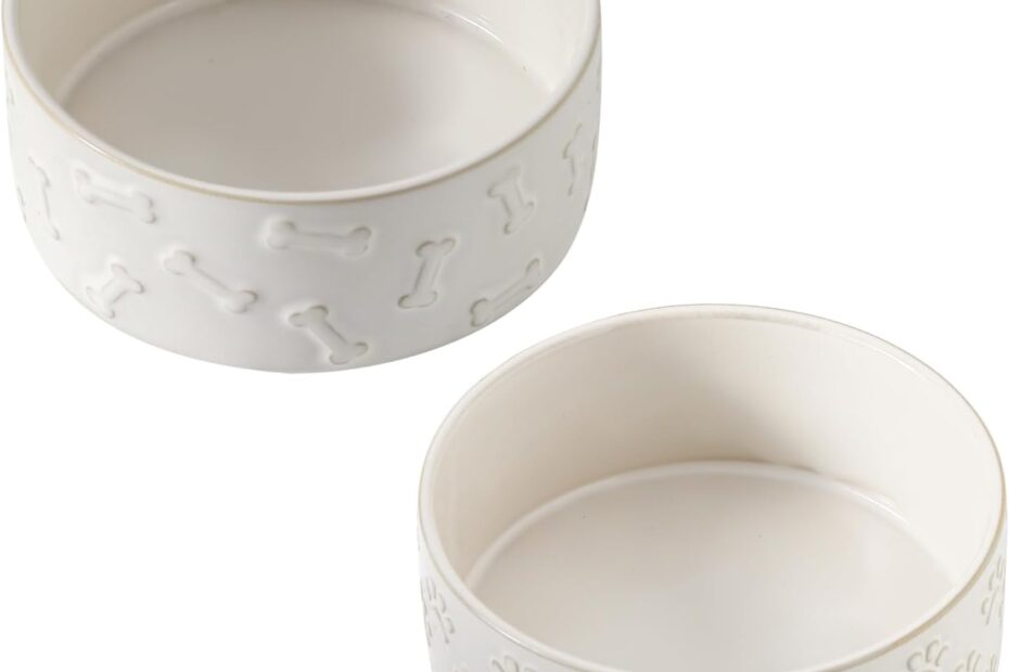 Stylish & Durable: Review of the UBEE Ceramic Dog Bowl Set for Pets