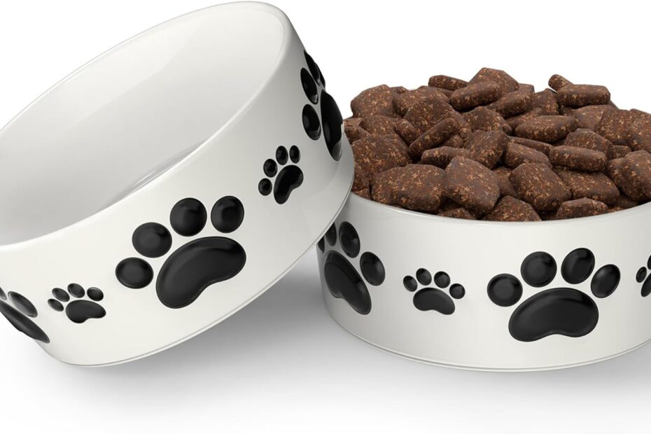 Stylish & Functional: Review of Ceramic Dog Bowls for Small Pets
