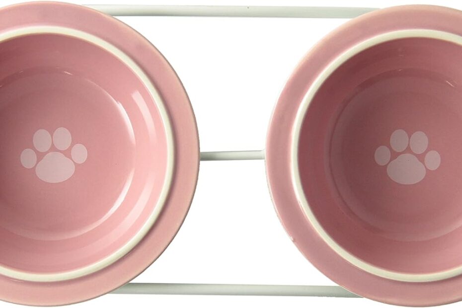 Stylish Mealtime: Review of the PetRageous Toftees Paws Diner for Small Pets