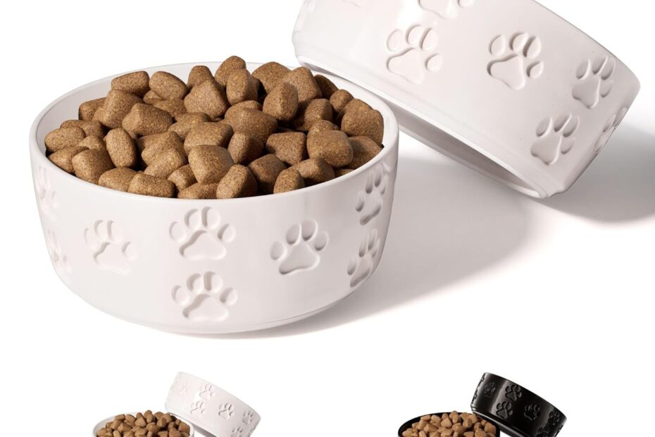 Stylish & Practical: The Perfect Anti-Skid Ceramic Dog Bowl Set for Small Pets!
