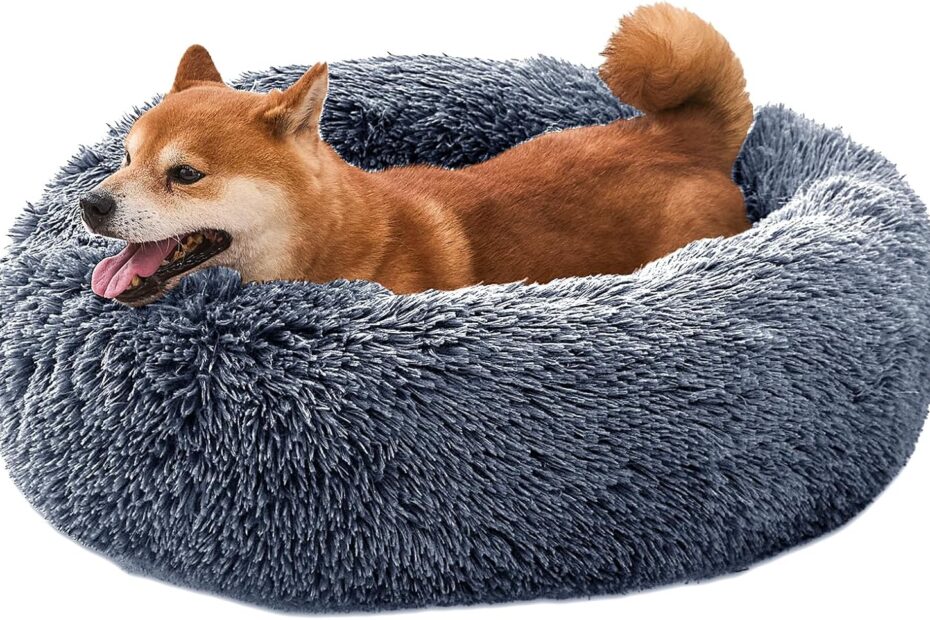 The Cozy Choice: Comfort Donut Dog Bed Review for Happy Pets!