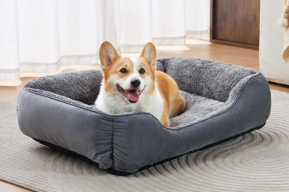 The Perfect Haven: Review of the Washable Super Soft Dog Bed for Small Pets