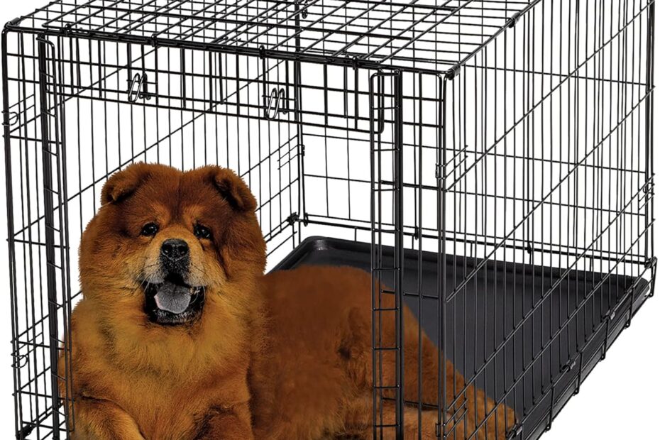 The Perfect Home: MidWest Homes for Pets 36-Inch Dog Crate Review