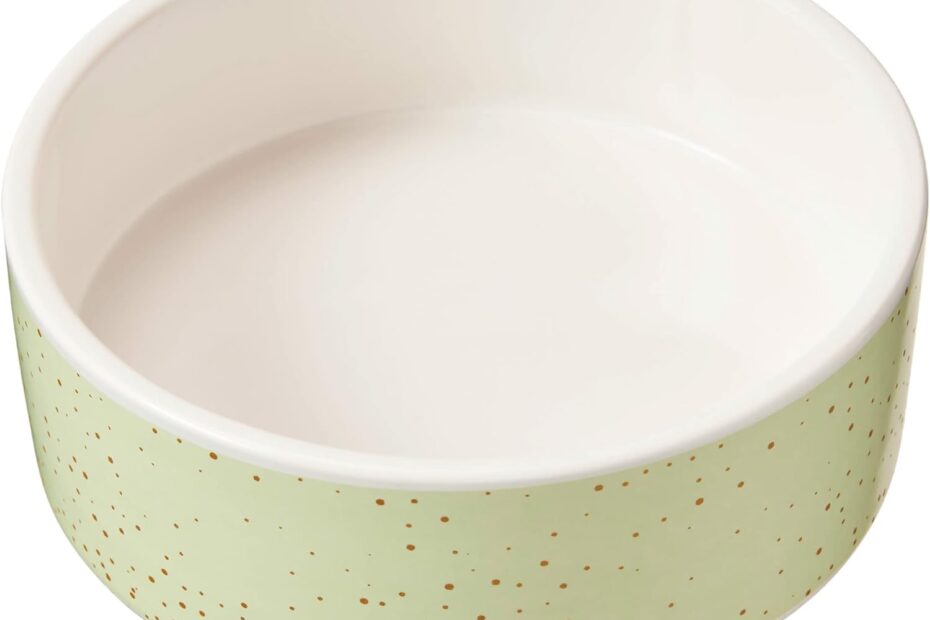 The Perfect Pet Bowl: SPOT Speckled Stoneware Review!