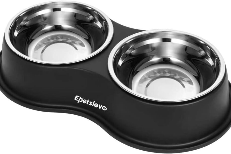 The Perfect Pet Feeder: Stainless Steel Double Dog Bowls Review