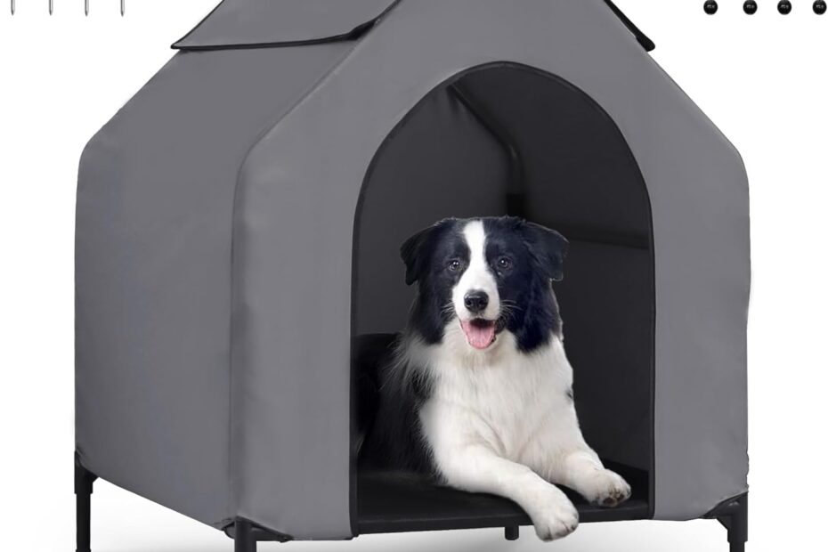 The Perfect Retreat: Review of the 36" Elevated Dog House for Medium & Large Dogs