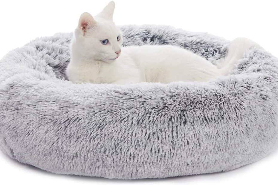 The Ultimate Comfort: Bedfolks Calming Donut Dog Bed Review