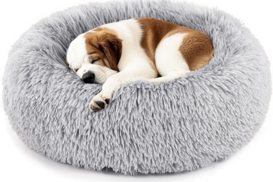 The Ultimate Comfort: DUMOS Donut Dog Bed Review for Your Small Pup