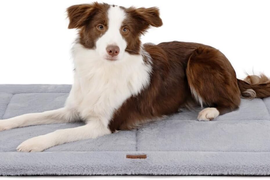 The Ultimate Comfort: Made4Pets Reversible Dog Crate Pad Review