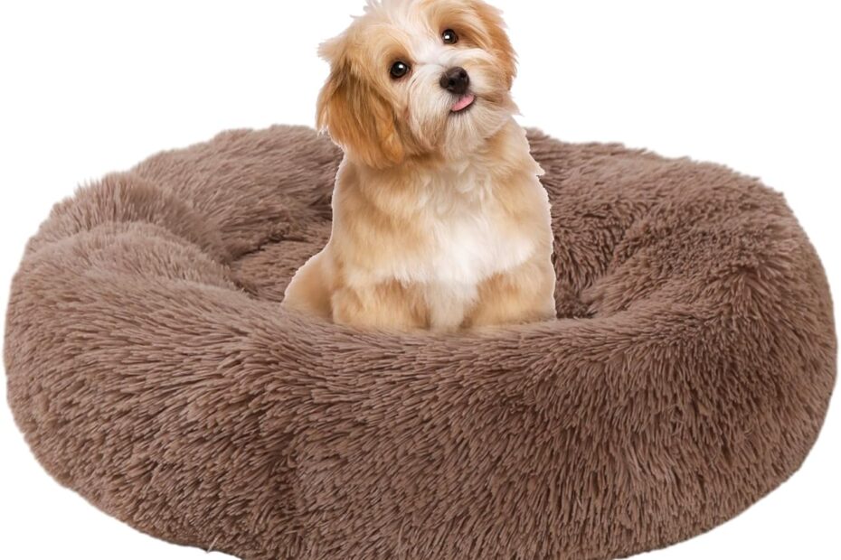 The Ultimate Cozy Retreat: Review of the Calming Anti-Anxiety Donut Bed for Small Pets