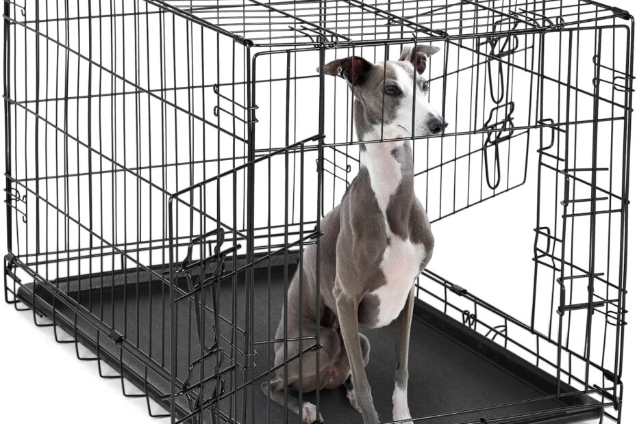 The Ultimate Guide to the DUMOS 36" Double Door Dog Crate: Comfort and Convenience for Your Furry Friend!