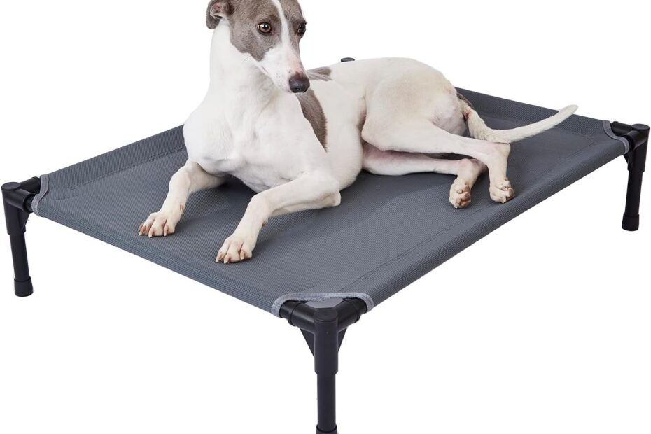 Top-Notch Comfort: Review of the Pettycare Elevated Outdoor Dog Bed
