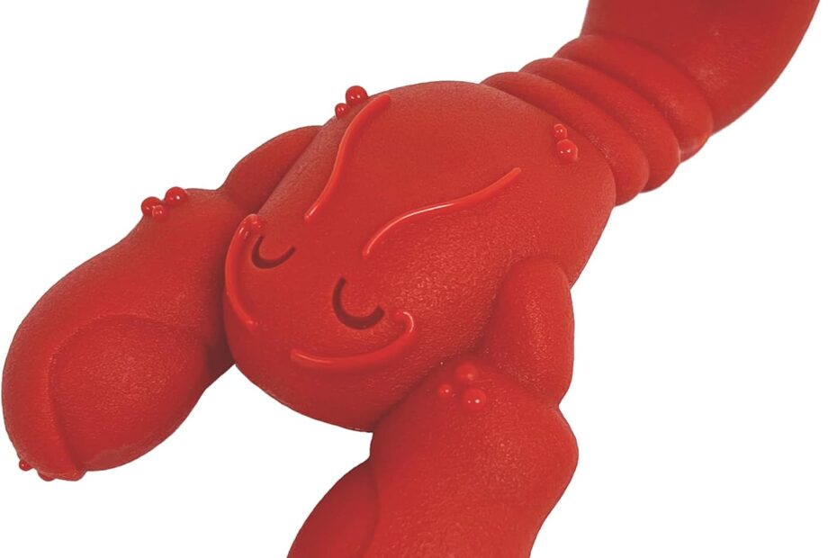 Tough Chewing Fun: Nylabone Lobster Power Chew Toy Review for Aggressive Chewers