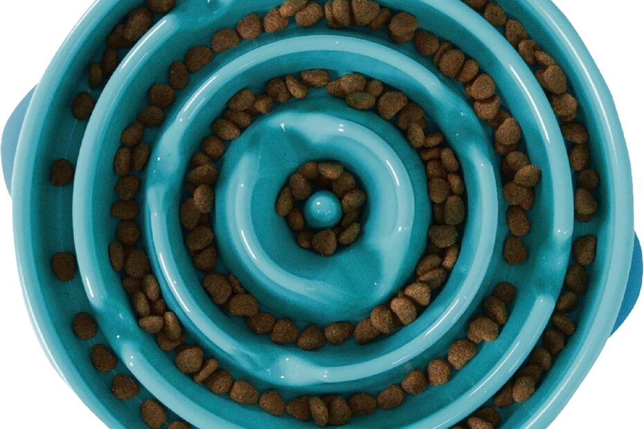 Transform Mealtime: A Review of the Outward Hound Fun Feeder Slo Bowl