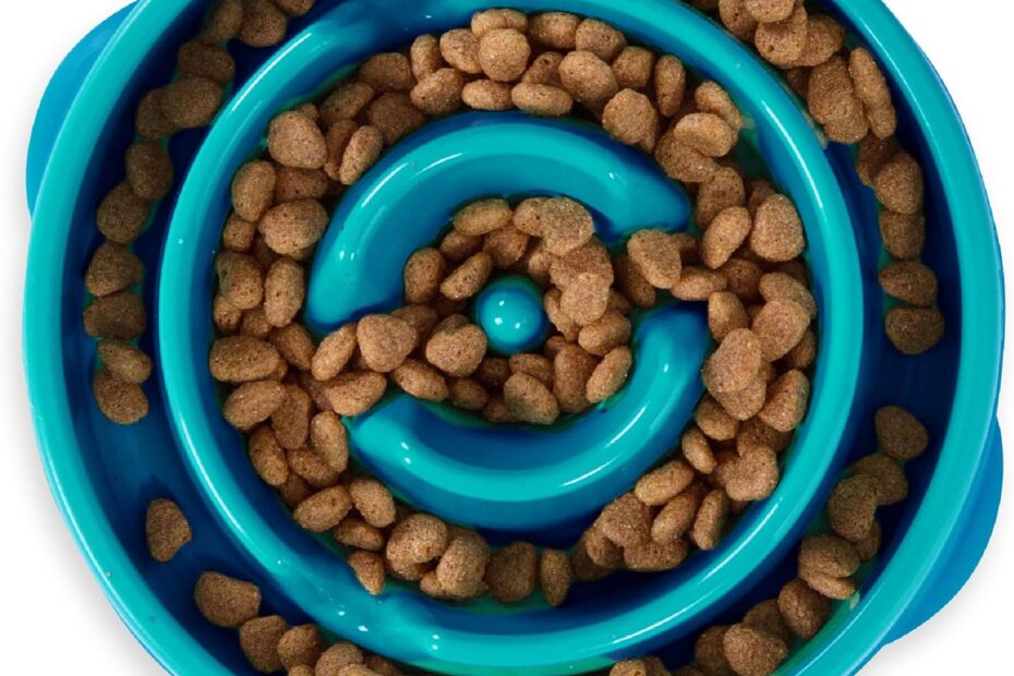 Transform Mealtime: Outward Hound Fun Feeder Slo Bowl Review