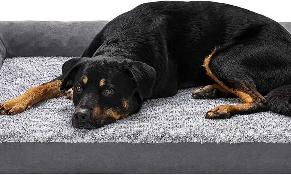 Transform Your Dog's Sleep: Furhaven Orthopedic Bed Review for Large Breeds