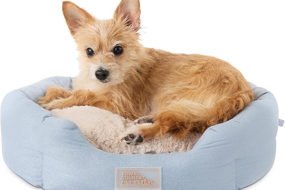 Transform Your Pet's Comfort: TOWN & COUNTRY CuddleTown Review!
